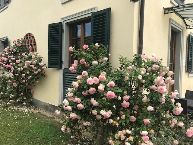Residence Prunali Massarosa Bagian luar foto